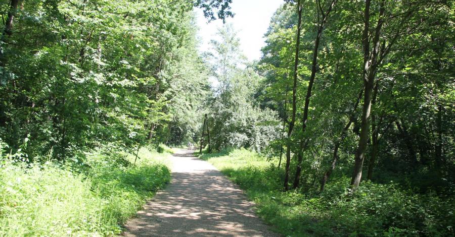 Arboretum Bramy Morawskiej w Raciborzu i Polska Cerekiew - zdjęcie