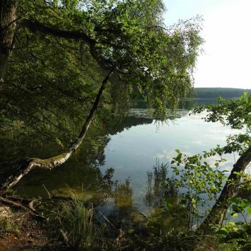 Jezioro Czajcze, Joanna