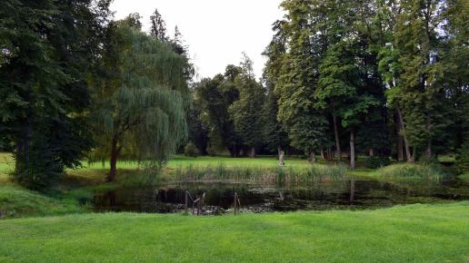 Park pałacowy, MaciejW