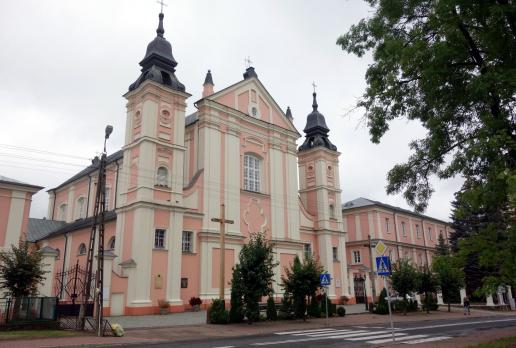 Bazylika kolegiacka Świętej Trójcy w Janowie Podlaskim, allie