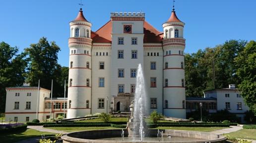 Pałac w Wojanowie, Mariusz