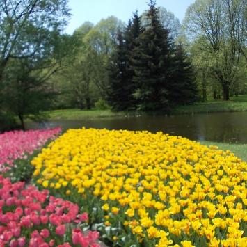 Wiosenna odsłona Ogrodu Botanicznego w Łodzi - zdjęcie