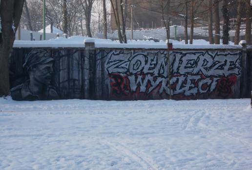 Graffiti na murze ZOO, Łódź, tomtur