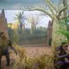 Park Ewolucji - Okna Prehistorii