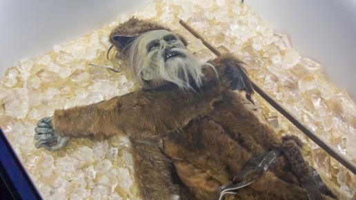 Park Ewolucji - Oetzi -najstarsza znaleziona ludzka mumia