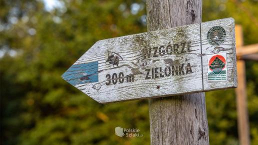 Idziemy na Wzgórze Zielonka