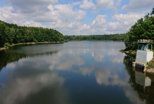 Jezioro Leśniańskie, Mariusz
