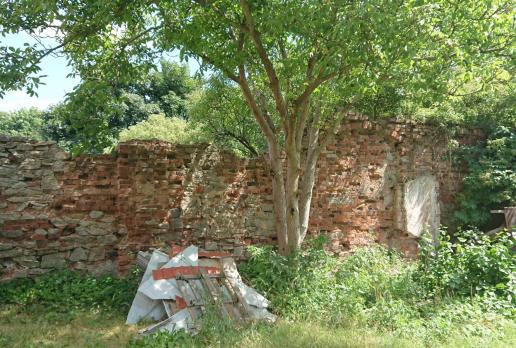 Ruiny pałacu w Kamionnej, Mariusz