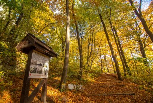 Wzgórze zamkowe w Smoleniu to jedno z bardziej barwnych, jesiennych miejsc na Jurze