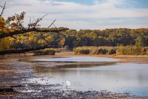 Rezerwat Łężczok - jesienią wody jest mniej