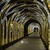 Królewski Ogród Światła - tunel świetlny o długości 75 metrów