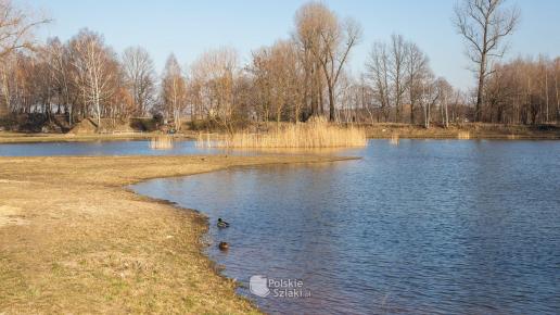 Staw Rzęsa