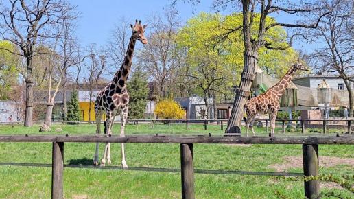 Zoo Łódź