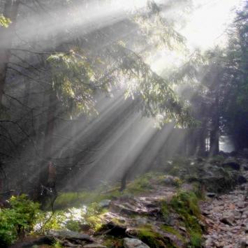 W paśmie Sudetów - Dzień V/VI - karkonoskimi szlakami (Przełęcz Okraj, Budniki, Skalny Stół, Przełęcz Karkonoska) - zdjęcie