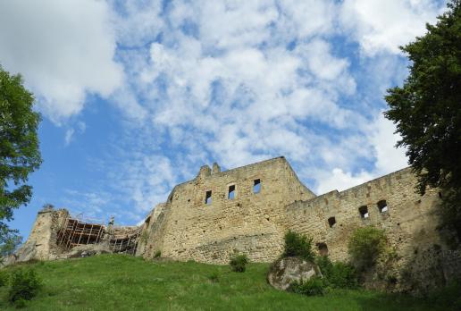 zamek Kamieniec w Korczynie-Odrzykoniu, Joanna
