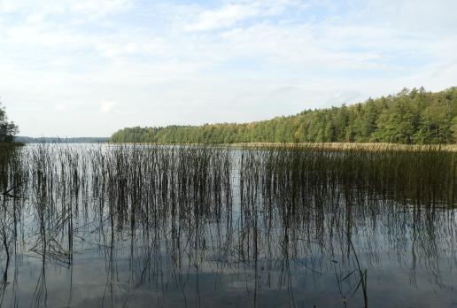 jezioro Kalejty, Joanna