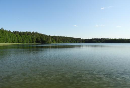Jezioro Paniewo, Joanna
