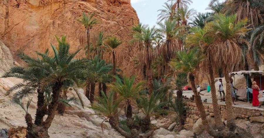 Wrota pustyni- Tunezja - zdjęcie